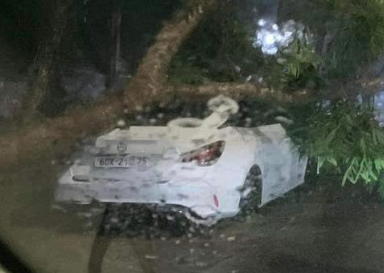 Mưa lớn, c&acirc;y đổ đ&egrave; bẹp &ocirc; t&ocirc; con ở Đồng Nai- Ảnh 1.