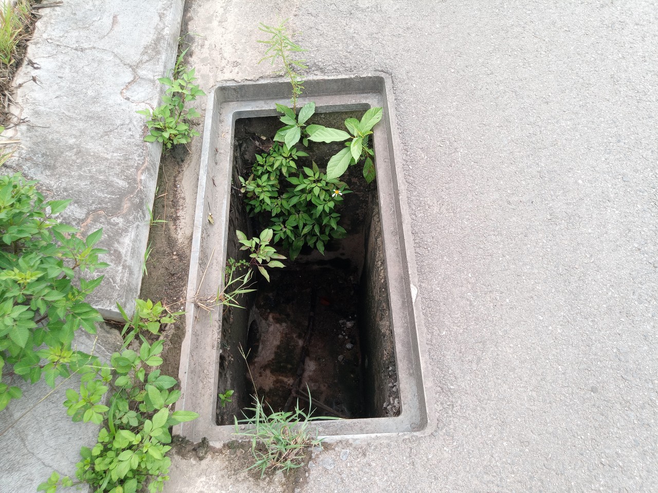 Thái Nguyên: Loạt hố ga mất nắp, cột điện hở lõi đe dọa ATGT- Ảnh 12. Thái Nguyên: Loạt hố ga mất nắp, cột điện hở lõi đe dọa ATGT- Ảnh 12.