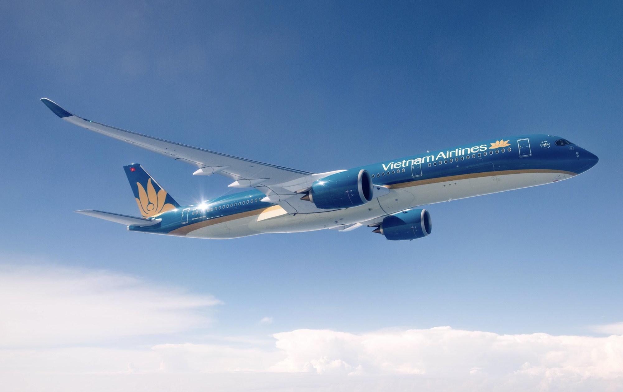 Mỗi tuần, Vietnam Airlines khai th&aacute;c 112 chuyến bay đi/đến H&agrave;n Quốc- Ảnh 2.