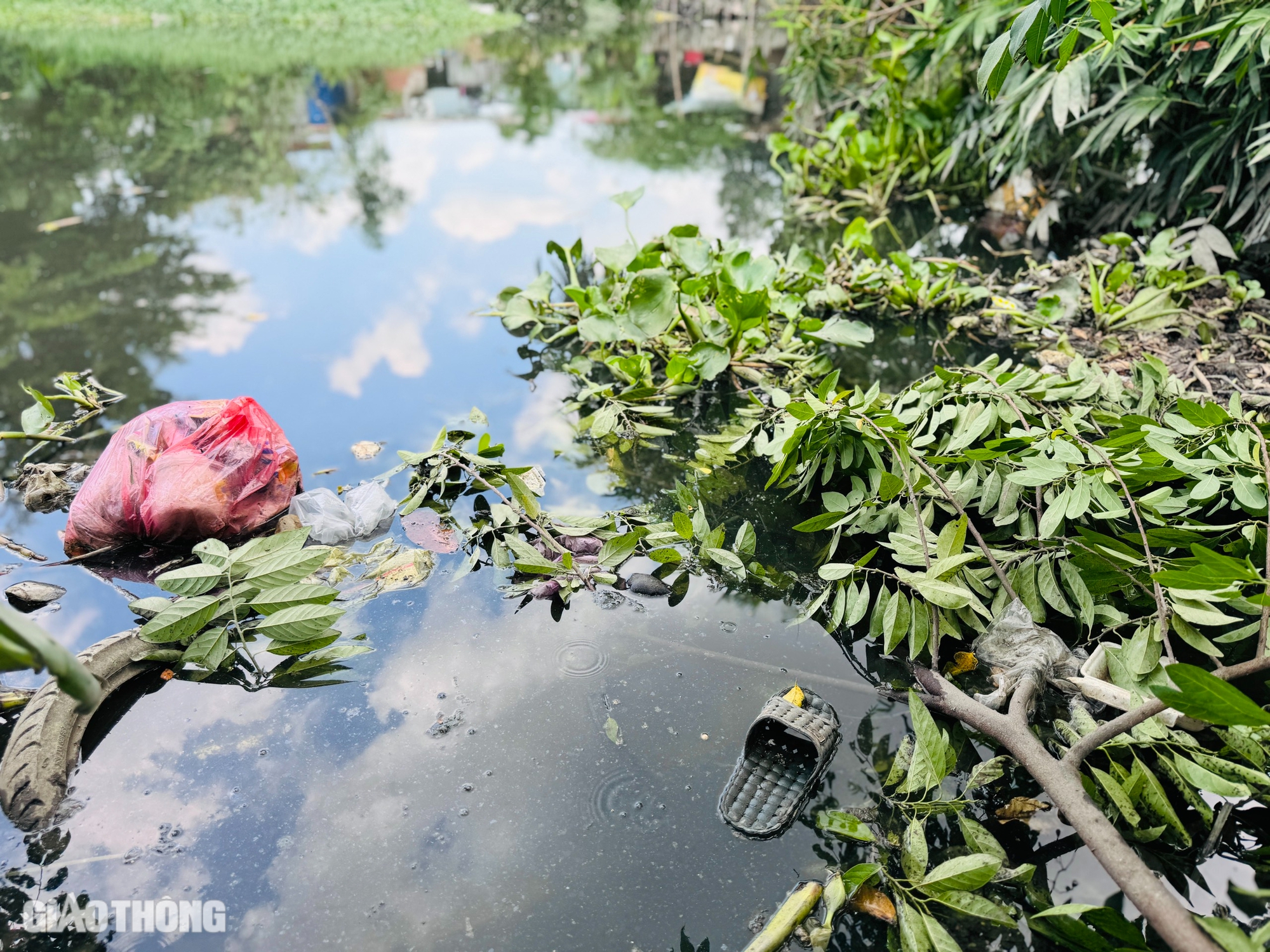Bao giờ rạch Thủ Đức được cải tạo, chống ngập và ô nhiễm?- Ảnh 6. Bao giờ rạch Thủ Đức được cải tạo, chống ngập và ô nhiễm?- Ảnh 6.