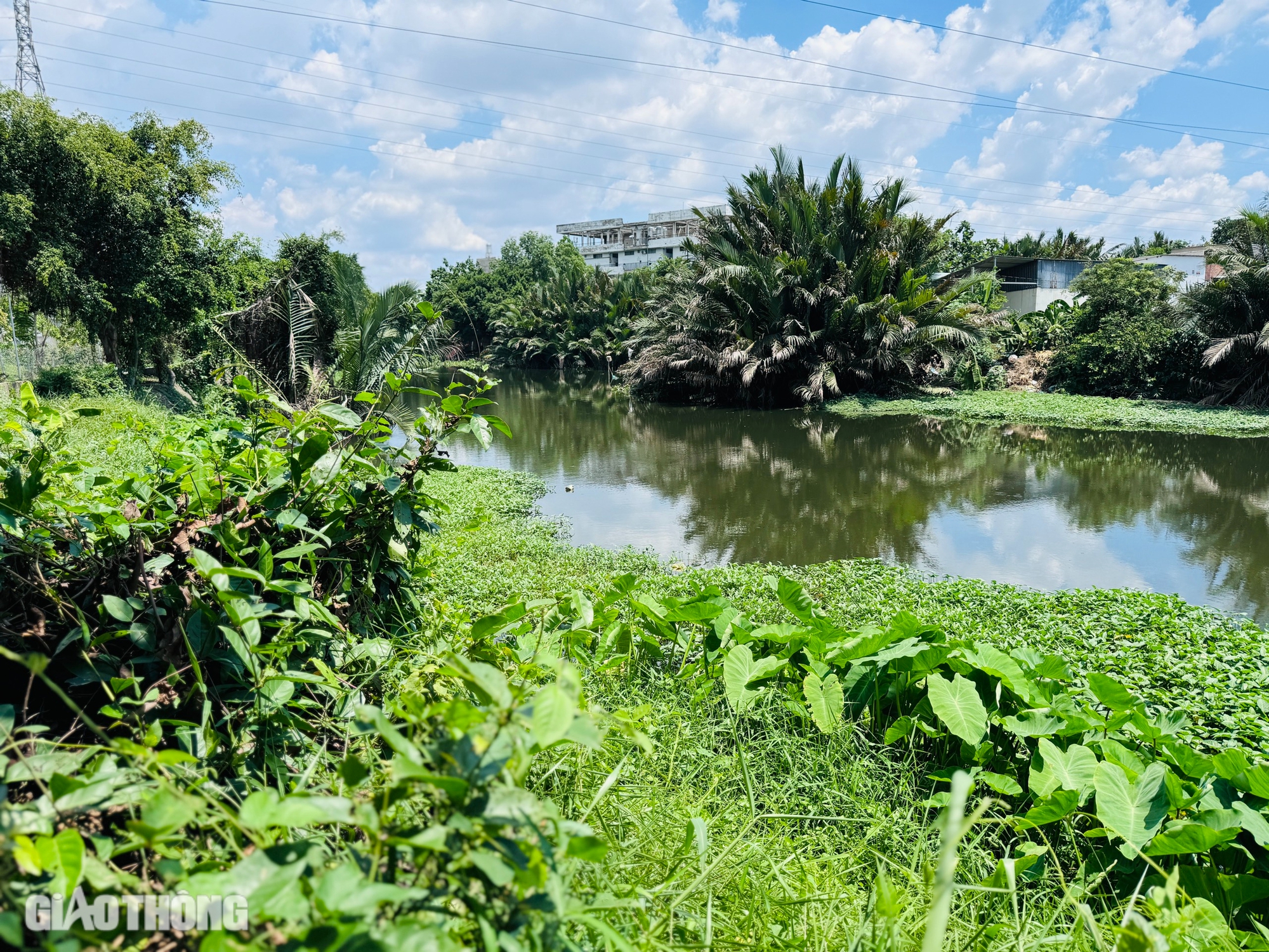 Bao giờ rạch Thủ Đức được cải tạo, chống ngập và ô nhiễm?- Ảnh 7. Bao giờ rạch Thủ Đức được cải tạo, chống ngập và ô nhiễm?- Ảnh 7.