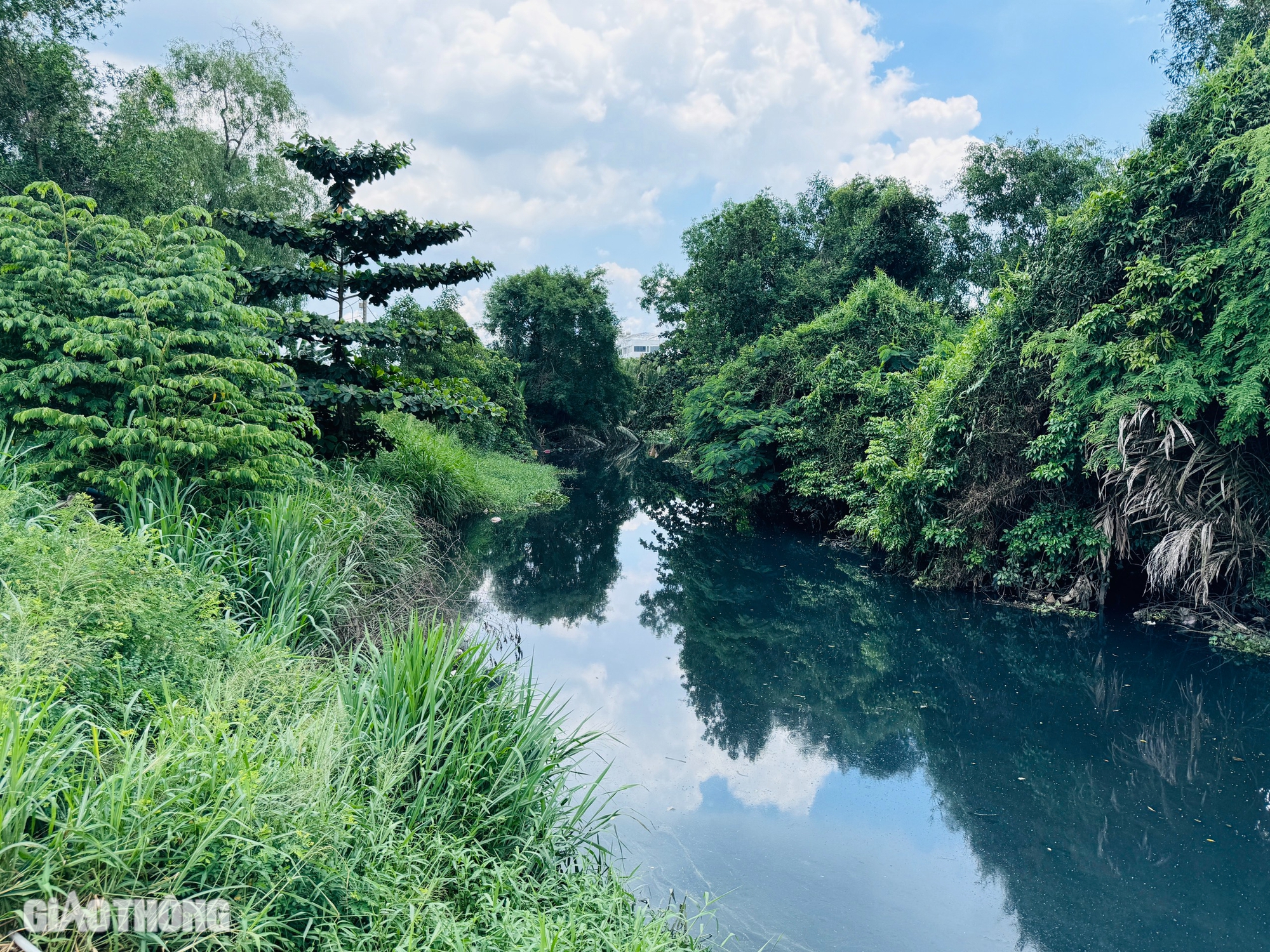 Bao giờ rạch Thủ Đức được cải tạo, chống ngập và ô nhiễm?- Ảnh 8. Bao giờ rạch Thủ Đức được cải tạo, chống ngập và ô nhiễm?- Ảnh 8.