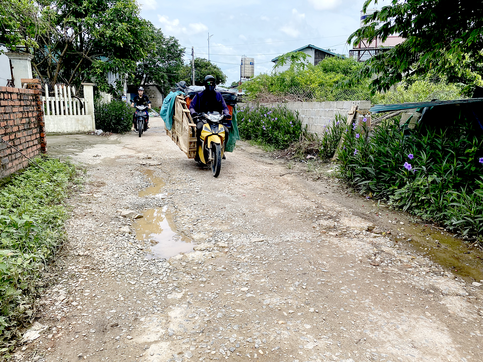 Quảng Ninh: D&acirc;n khổ v&igrave; dự &aacute;n hơn 100ha &ldquo;treo&rdquo;- Ảnh 3.