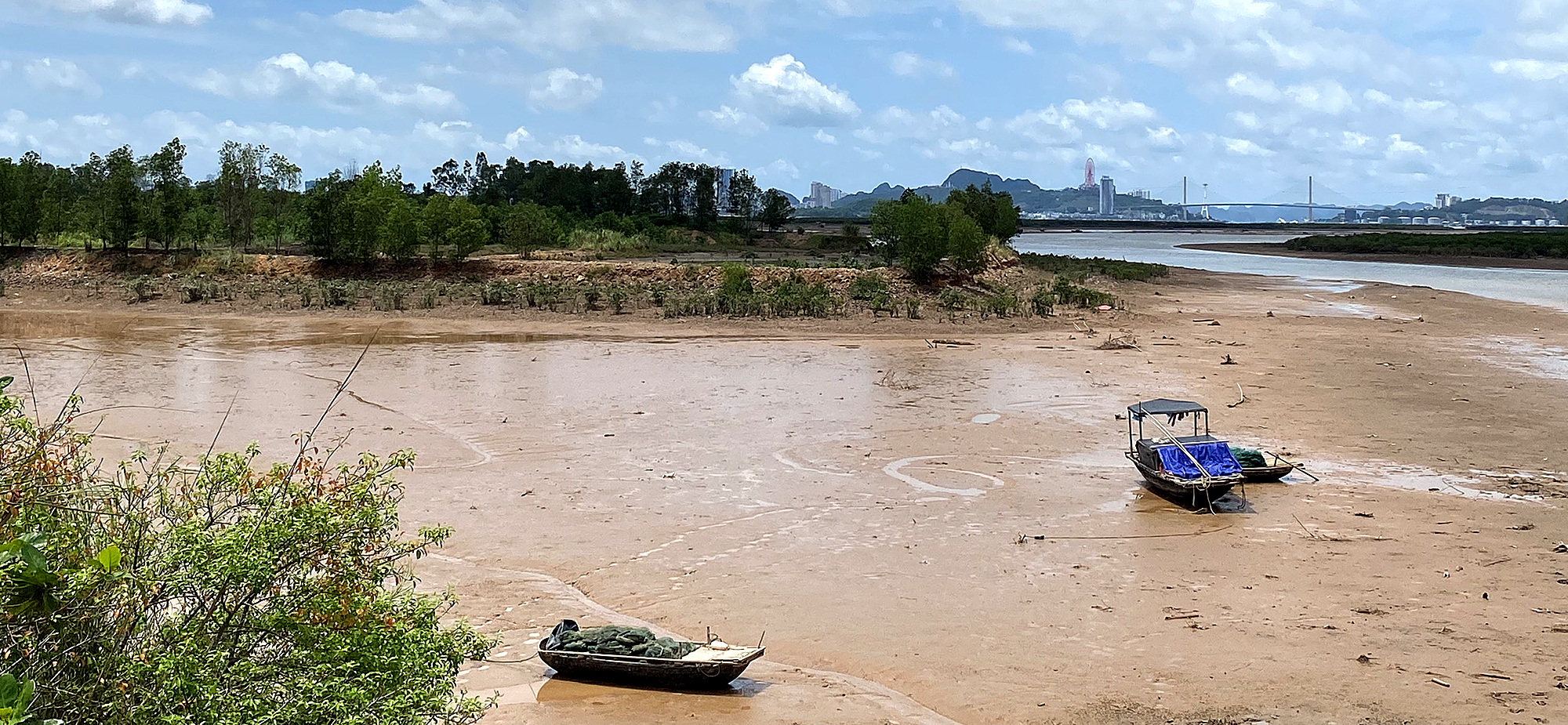Quảng Ninh: D&acirc;n khổ v&igrave; dự &aacute;n hơn 100ha &ldquo;treo&rdquo;- Ảnh 4.