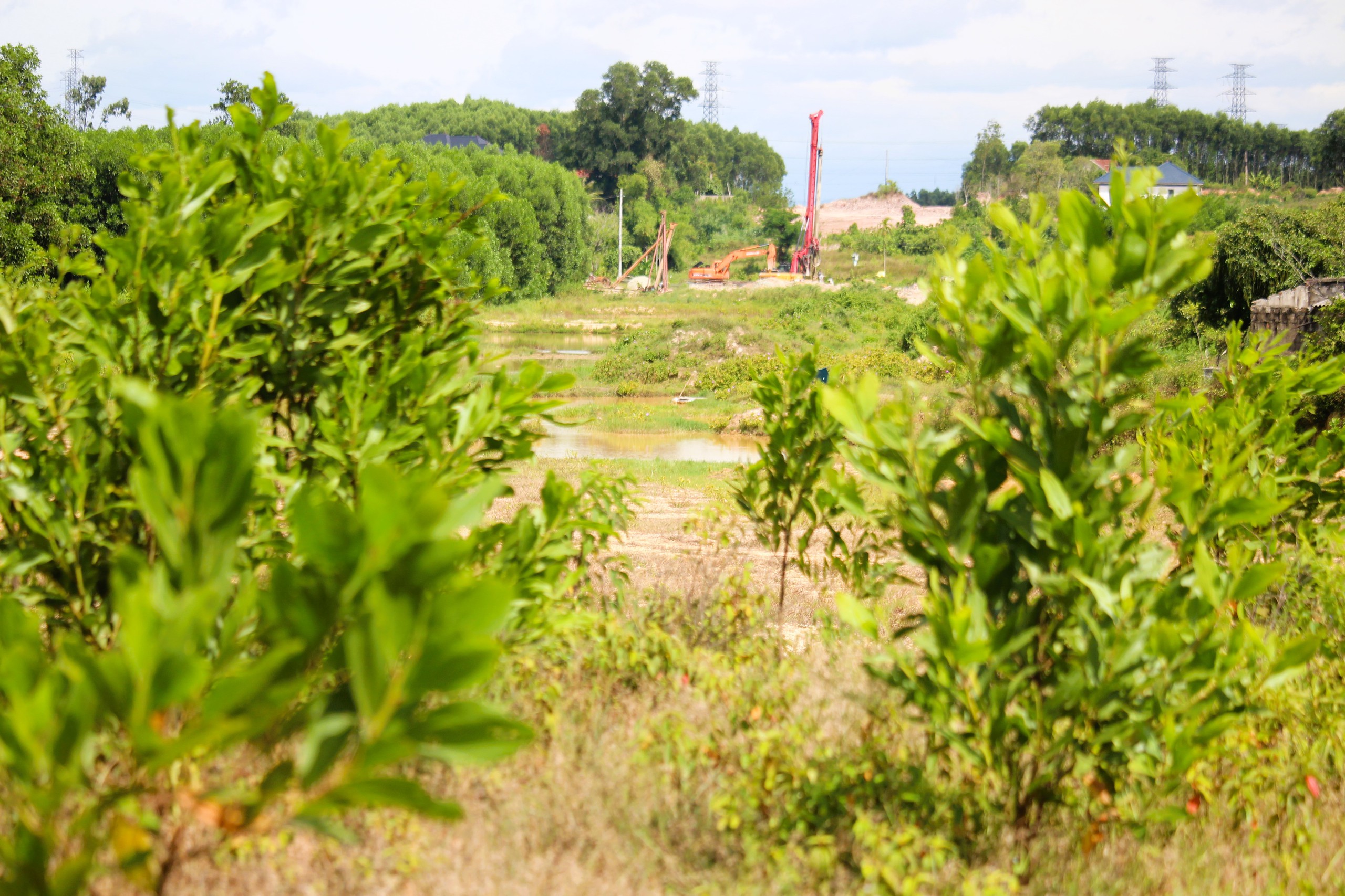 Quảng Trị: Chủ đầu tư giải trình gì về dự án đường 65 tỷ gần 3 năm chỉ mới bóc phong hóa?- Ảnh 1. Quảng Trị: Chủ đầu tư giải trình gì về dự án đường 65 tỷ gần 3 năm chỉ mới bóc phong hóa?- Ảnh 1.