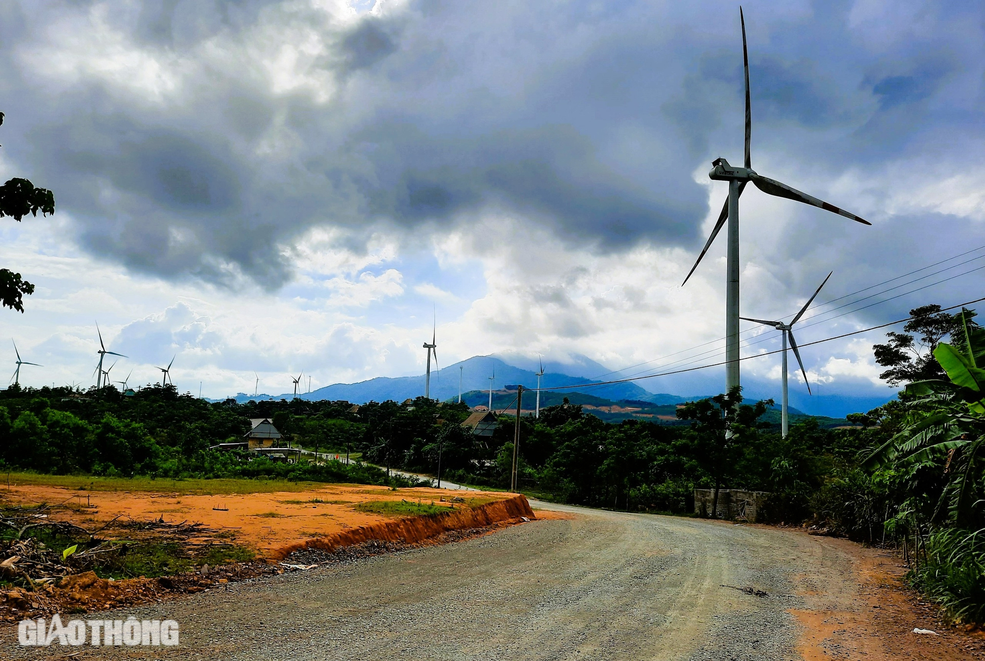 Quảng Trị: Một phó chủ tịch huyện bị cách hết các chức vụ trong Đảng- Ảnh 1. Quảng Trị: Một phó chủ tịch huyện bị cách hết các chức vụ trong Đảng- Ảnh 1.