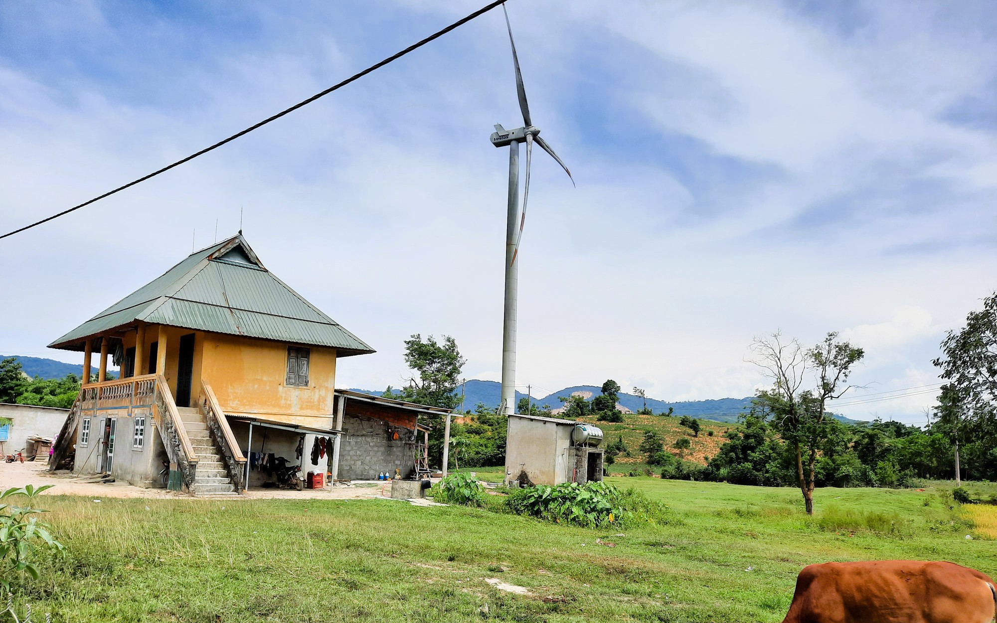 Quảng Trị: Một ph&oacute; chủ tịch huyện bị c&aacute;ch hết c&aacute;c chức vụ trong Đảng