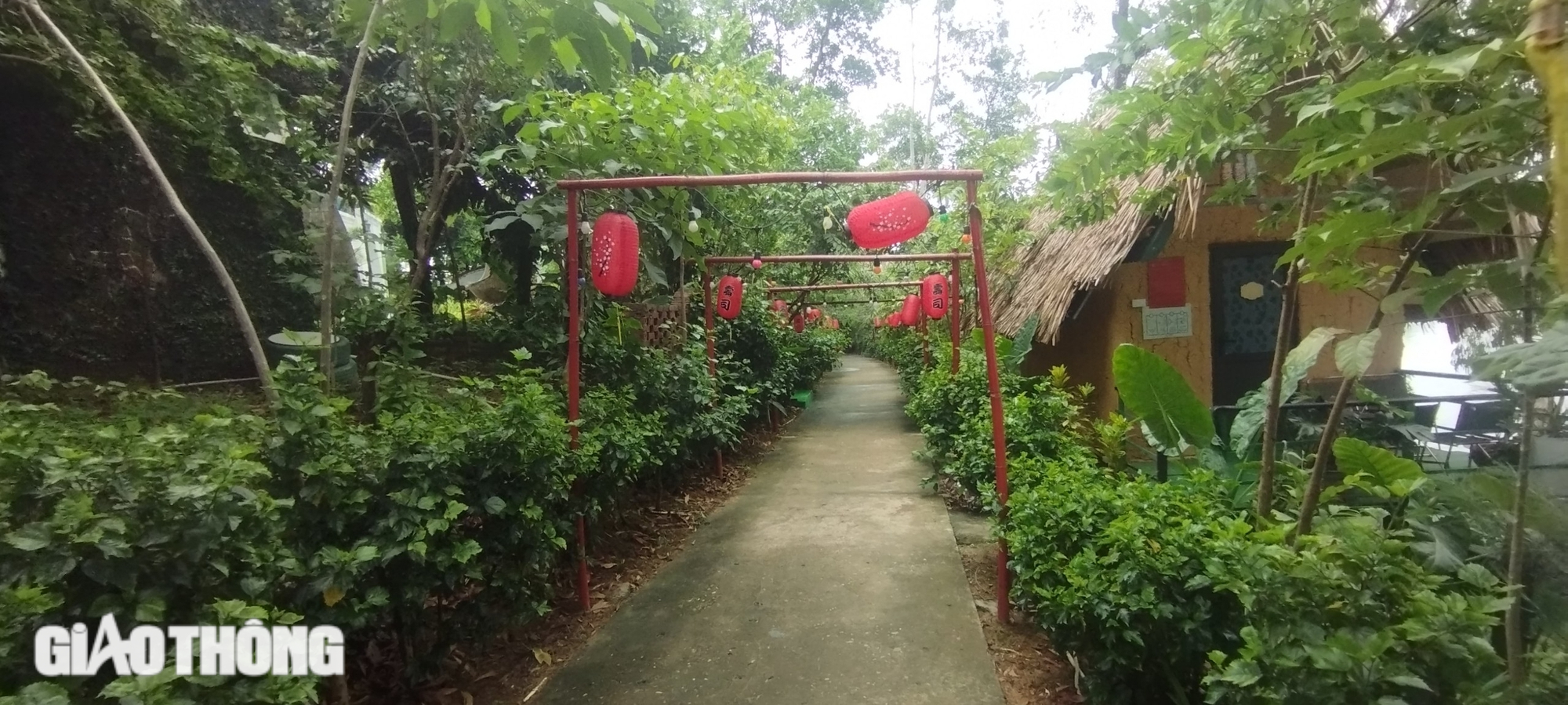 Cận cảnh điểm du lịch "nhiều kh&ocirc;ng" tr&ecirc;n hồ Th&aacute;c B&agrave;- Ảnh 5.