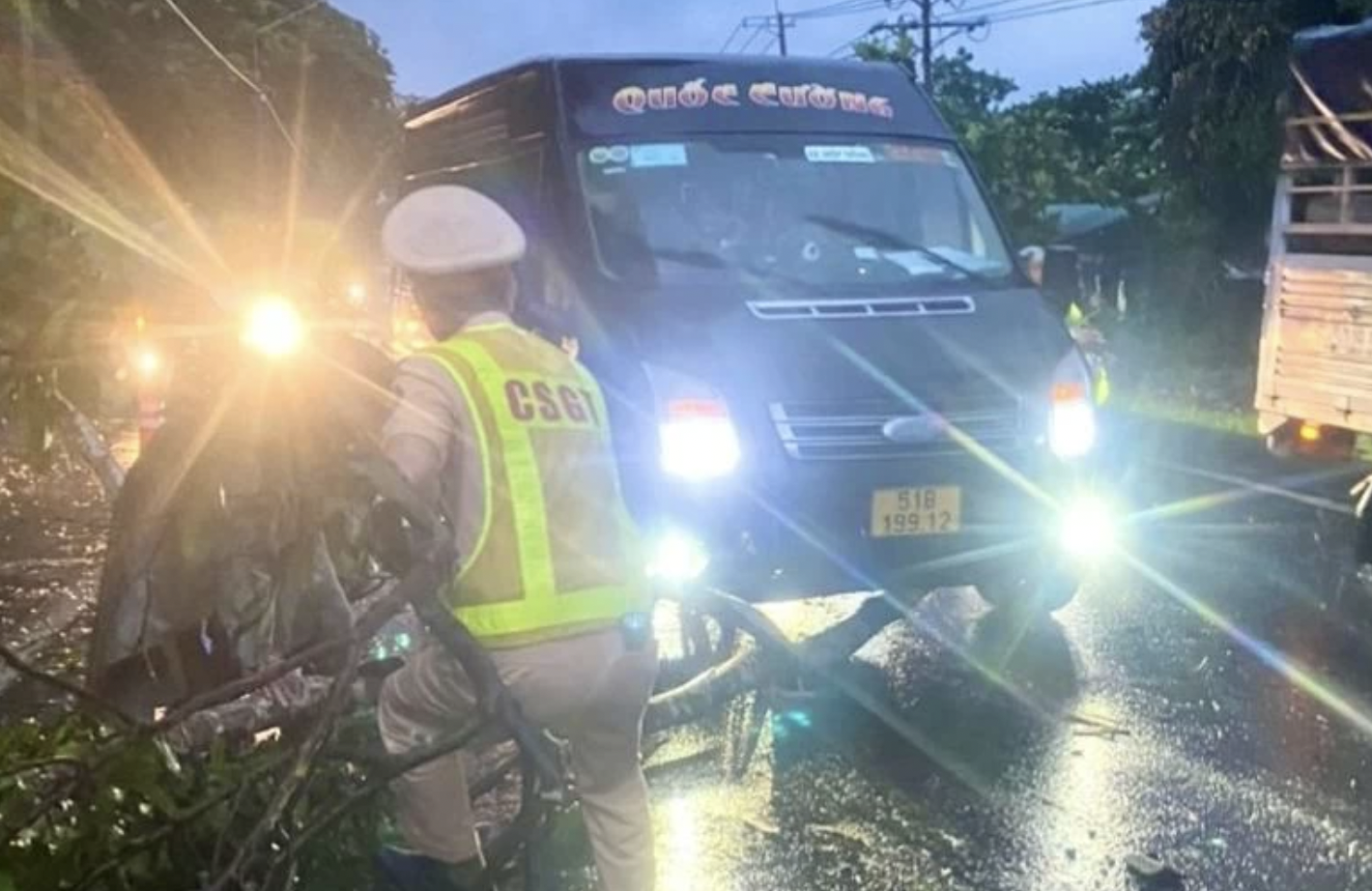 Mưa lớn k&egrave;m gi&oacute; lốc, c&acirc;y sao cao 30m ng&atilde; đổ chắn ngang QL20- Ảnh 1.
