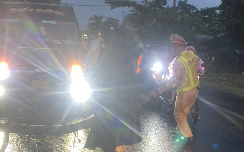 Mưa lớn k&egrave;m gi&oacute; lốc, c&acirc;y sao cao 30m ng&atilde; đổ chắn ngang QL20