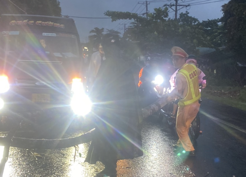 Mưa lớn k&egrave;m gi&oacute; lốc, c&acirc;y sao cao 30m ng&atilde; đổ chắn ngang QL20- Ảnh 2.