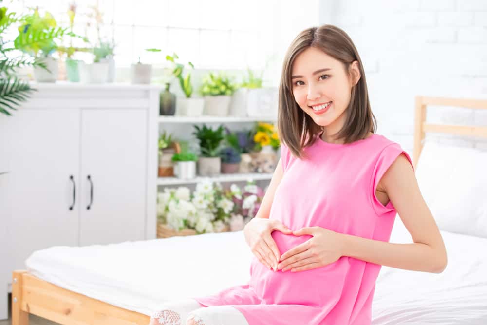 Phần bỏ đi của b&ocirc;ng hoa khổng lồ th&agrave;nh m&oacute;n ngon, lạ miệng khi chế biến c&aacute;ch n&agrave;y- Ảnh 2.