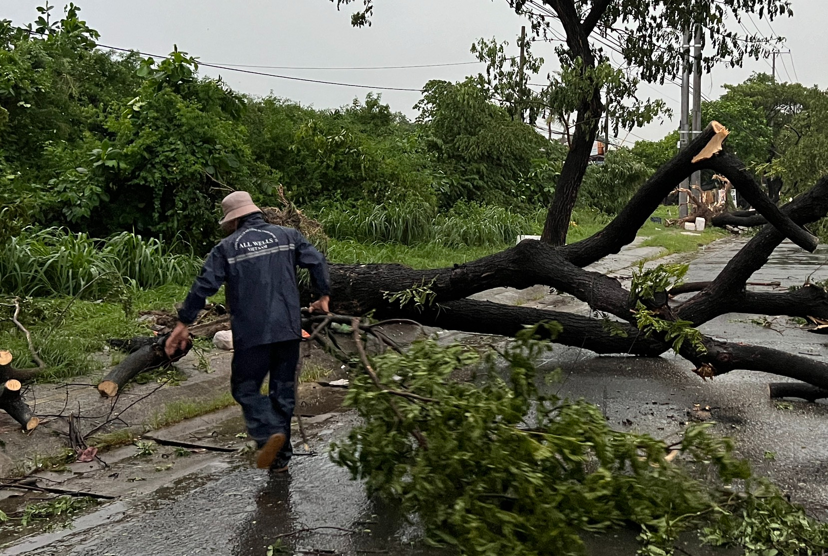 Mưa lớn k&egrave;m gi&oacute; lốc, c&acirc;y sao cao 30m ng&atilde; đổ chắn ngang QL20- Ảnh 11.