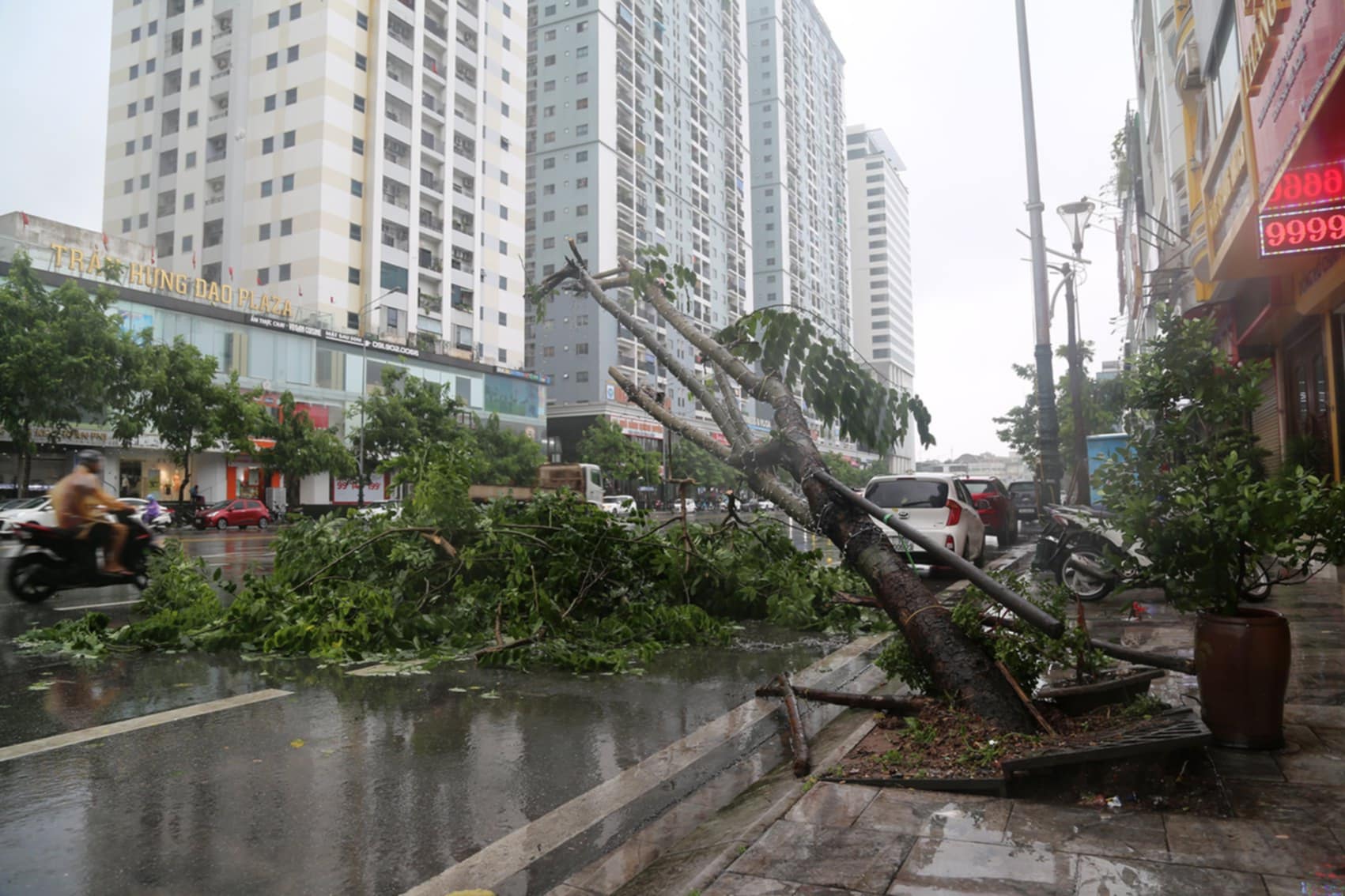 Cận cảnh c&acirc;y đổ, phố ngập, đường sạt lở ở Quảng Ninh sau b&atilde;o số 2- Ảnh 3.