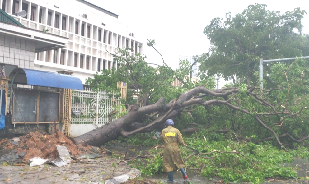 Cận cảnh c&acirc;y đổ, phố ngập, đường sạt lở ở Quảng Ninh sau b&atilde;o số 2- Ảnh 1.