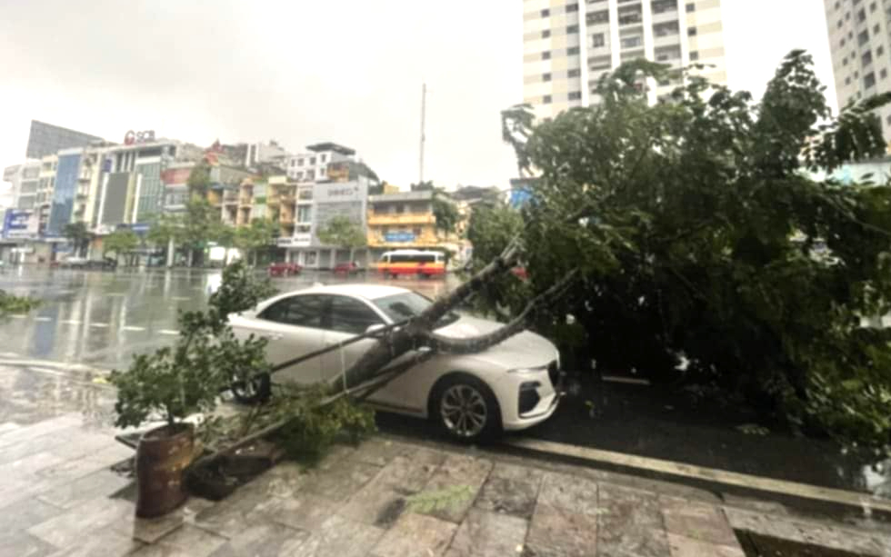 Cận cảnh c&acirc;y đổ, phố ngập, đường sạt lở ở Quảng Ninh sau b&atilde;o số 2- Ảnh 4.