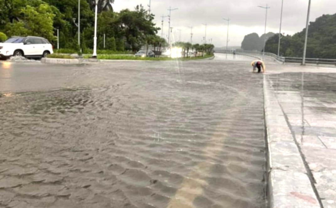 Cận cảnh c&acirc;y đổ, phố ngập, đường sạt lở ở Quảng Ninh sau b&atilde;o số 2- Ảnh 5.