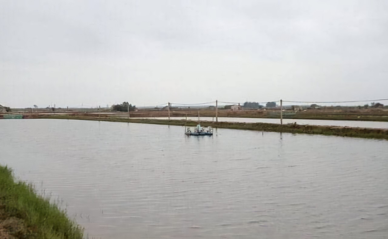 Nam Định: Tập đo&agrave;n Xu&acirc;n Thiện hỗ trợ di dời ở khu Cồn Xanh- Ảnh 1.