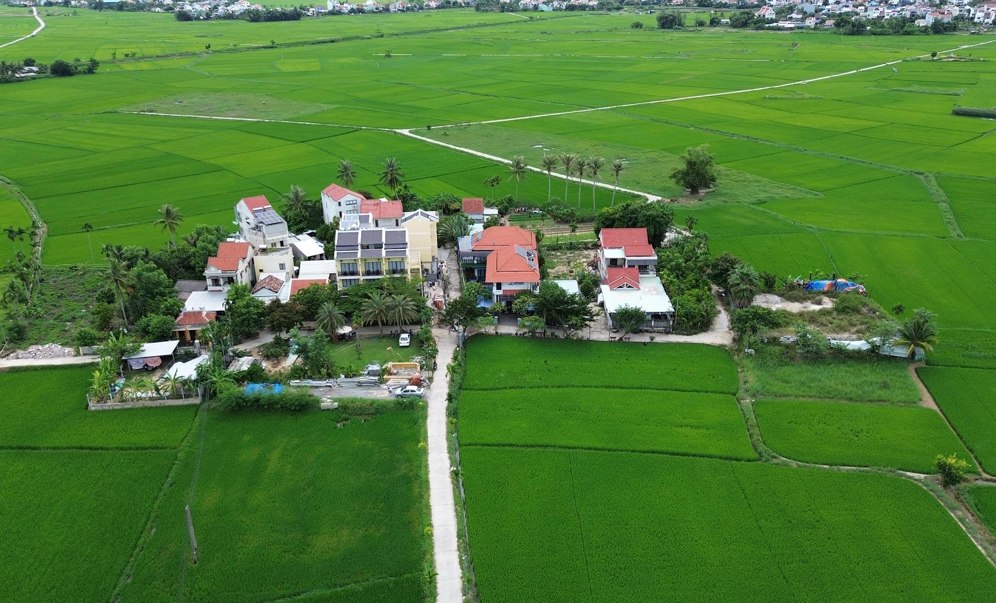 Căn cứ c&aacute;ch mạng Mồ C&ocirc;i th&agrave;nh l&agrave;ng du lịch- Ảnh 1.