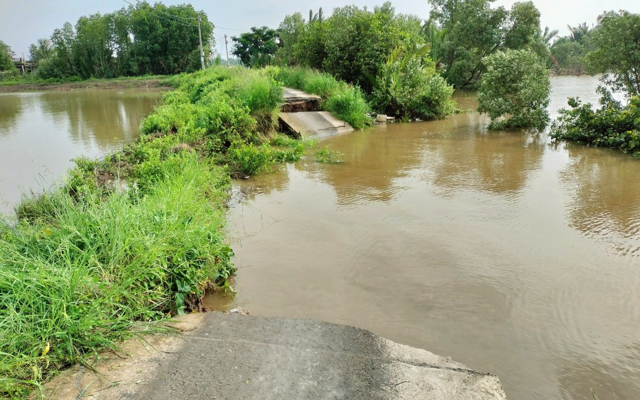 Bạc Li&ecirc;u: Sạt lở cắt đứt đường giao th&ocirc;ng trong đ&ecirc;m