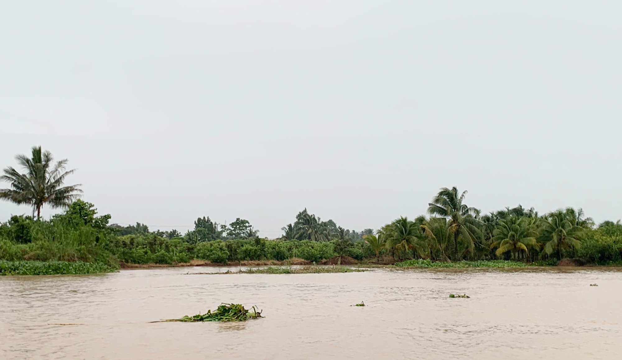 S&ocirc;ng Tiền ở Đồng Th&aacute;p bị sạt lở, g&acirc;y thiệt hại hơn 1 tỷ đồng- Ảnh 1.