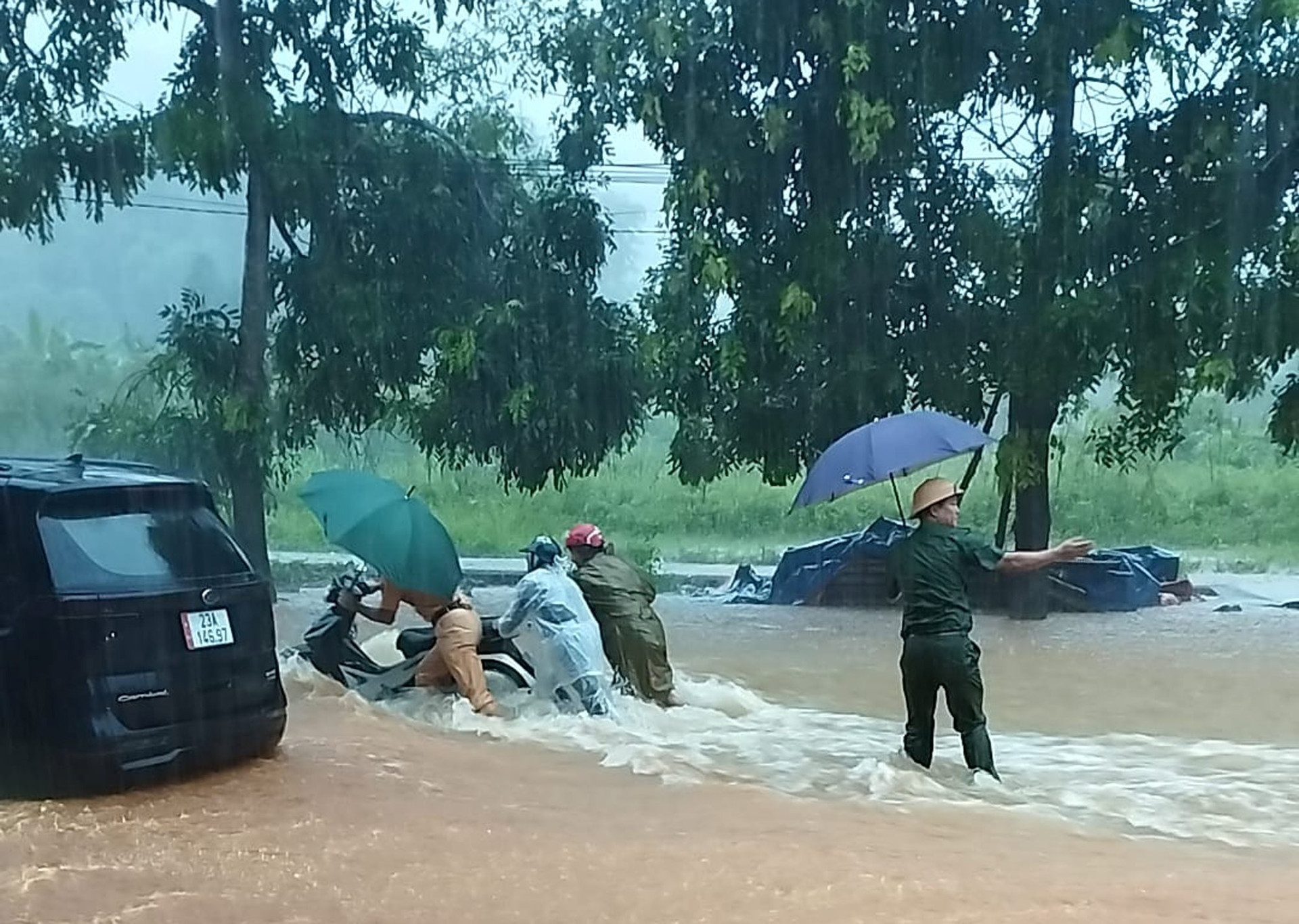 Nhiều nơi tr&ecirc;n địa b&agrave;n tỉnh H&agrave; Giang ngập nửa m&eacute;t do mưa lớn- Ảnh 5.