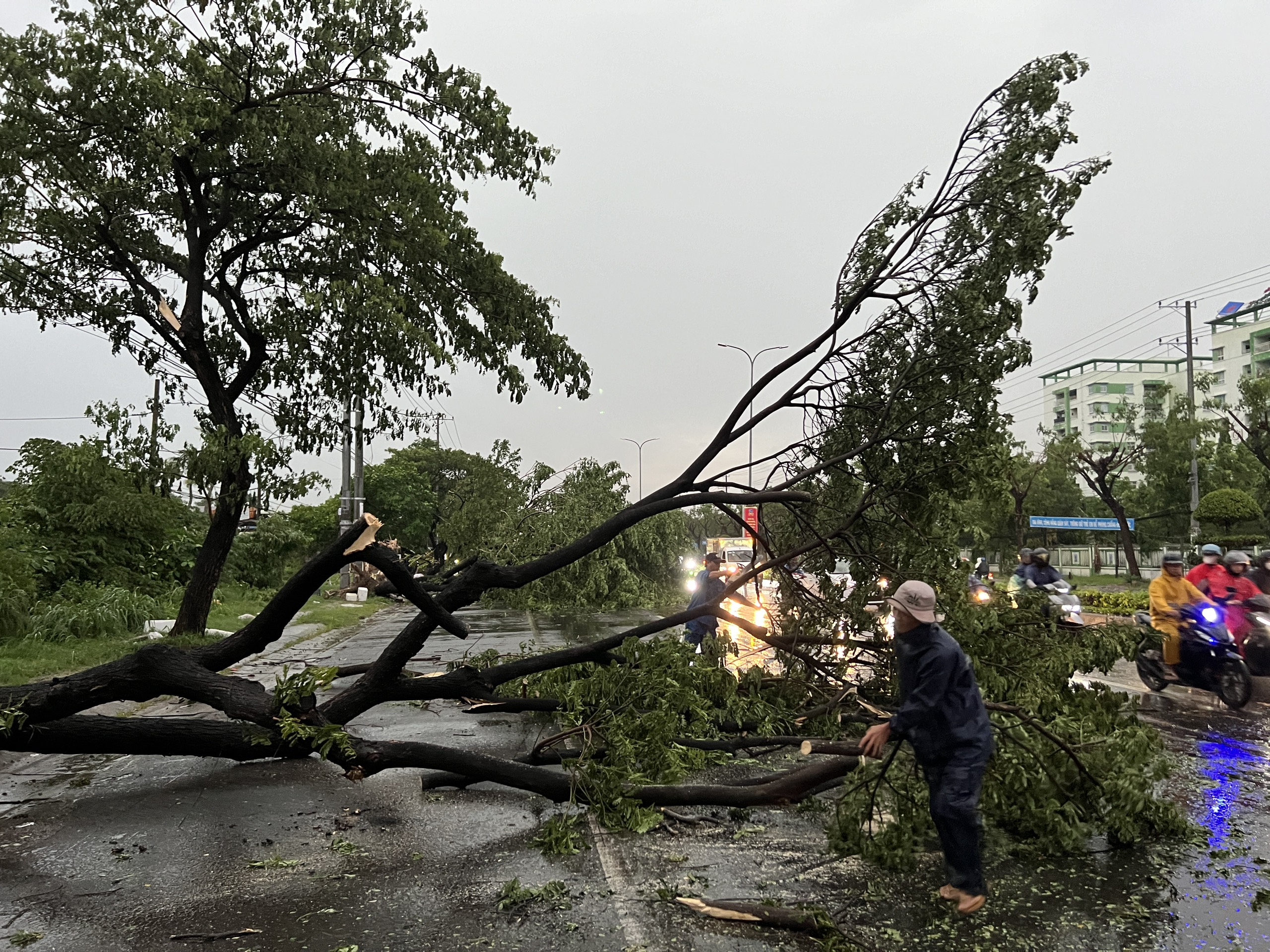 B&agrave; Rịa - Vũng T&agrave;u hỗ trợ d&acirc;n sửa nh&agrave; tốc m&aacute;i, c&acirc;y g&atilde;y đổ do lốc xo&aacute;y- Ảnh 1.