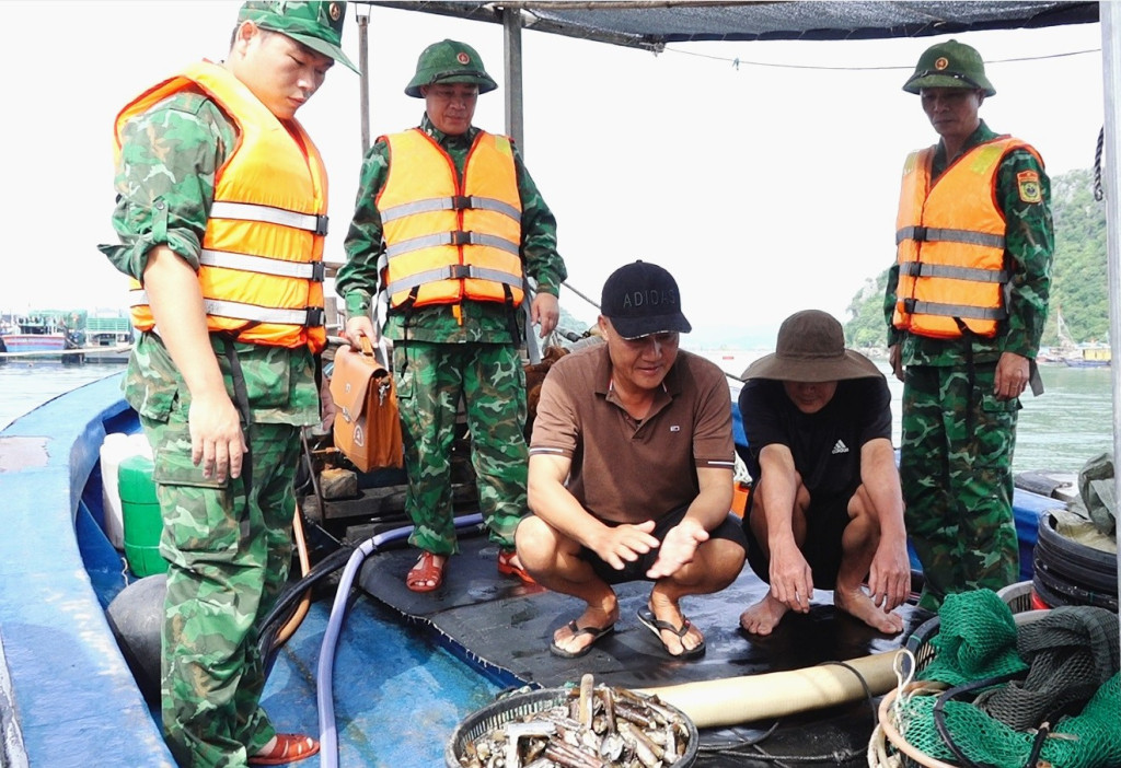 Quảng Ninh xử lý gần 1.500 tàu cá chưa đăng ký thế nào?- Ảnh 1. Quảng Ninh xử lý gần 1.500 tàu cá chưa đăng ký thế nào?- Ảnh 1.