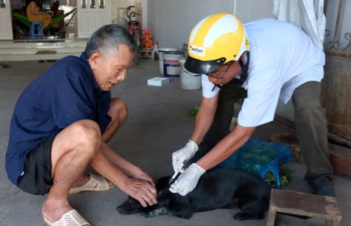 Hai vợ chồng bị ch&oacute; cắn, người vợ tử vong do "ph&aacute;t dại"- Ảnh 1.