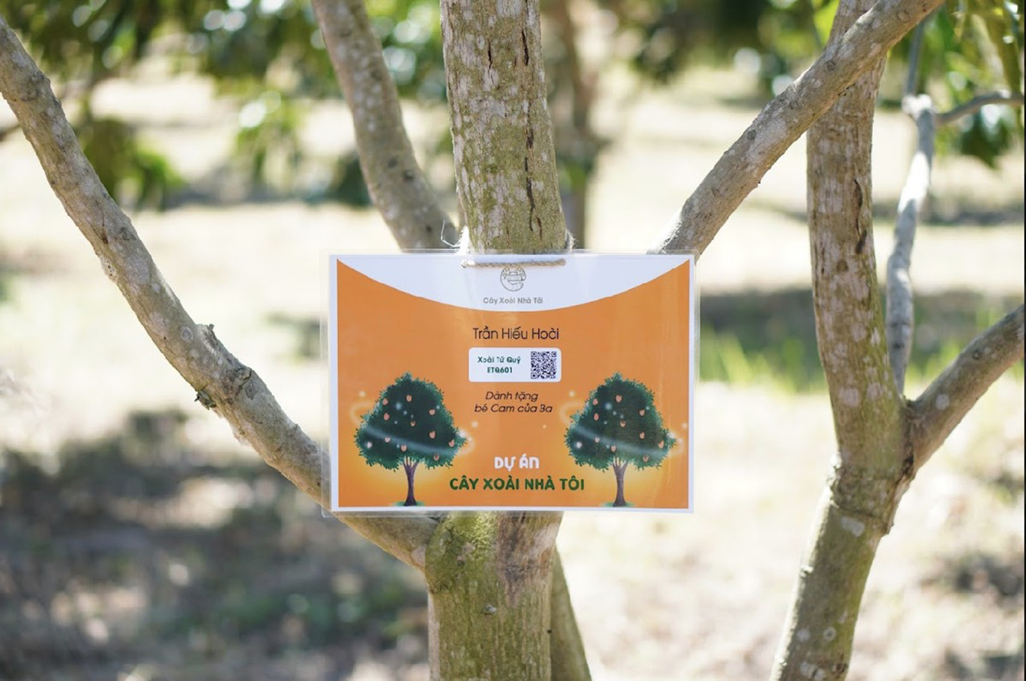 Nữ doanh nhân hóa giải “lời nguyền” giúp nông dân- Ảnh 2. Nữ doanh nhân hóa giải “lời nguyền” giúp nông dân- Ảnh 2.