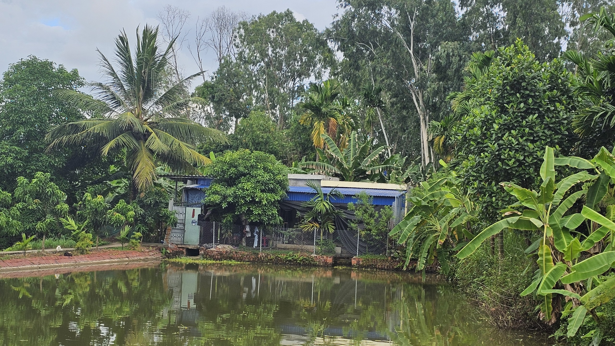 Cơ cực mẹ đơn th&acirc;n l&agrave;m phụ x&acirc;y nu&ocirc;i con liệt to&agrave;n th&acirc;n sau tai nạn- Ảnh 1.