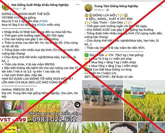 B&aacute;n giống l&uacute;a giả tr&ecirc;n mạng x&atilde; hội, 7 đối tượng chiếm đoạt gần 8 tỷ đồng- Ảnh 1.
