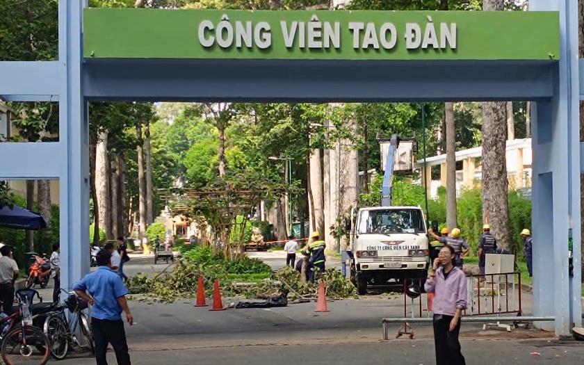 C&ocirc;ng an TP.HCM x&aacute;c định tr&aacute;ch nhiệm li&ecirc;n quan vụ c&acirc;y xanh g&atilde;y đ&egrave; chết 2 người