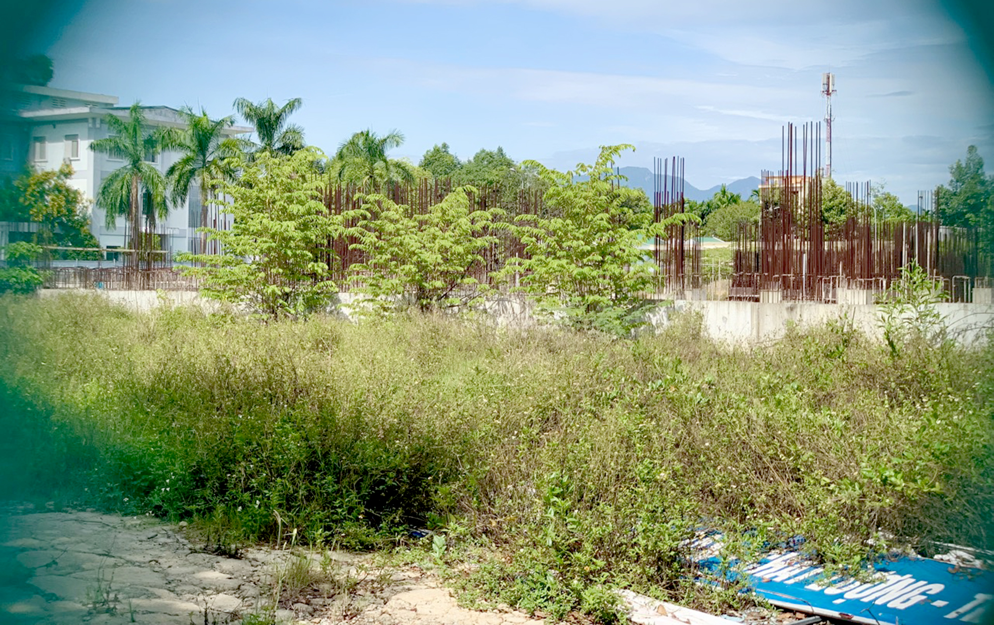 Quảng Ng&atilde;i: Dự &aacute;n bệnh viện ngh&igrave;n tỷ bỏ hoang tr&ecirc;n đất &ldquo;v&agrave;ng&rdquo;- Ảnh 2.