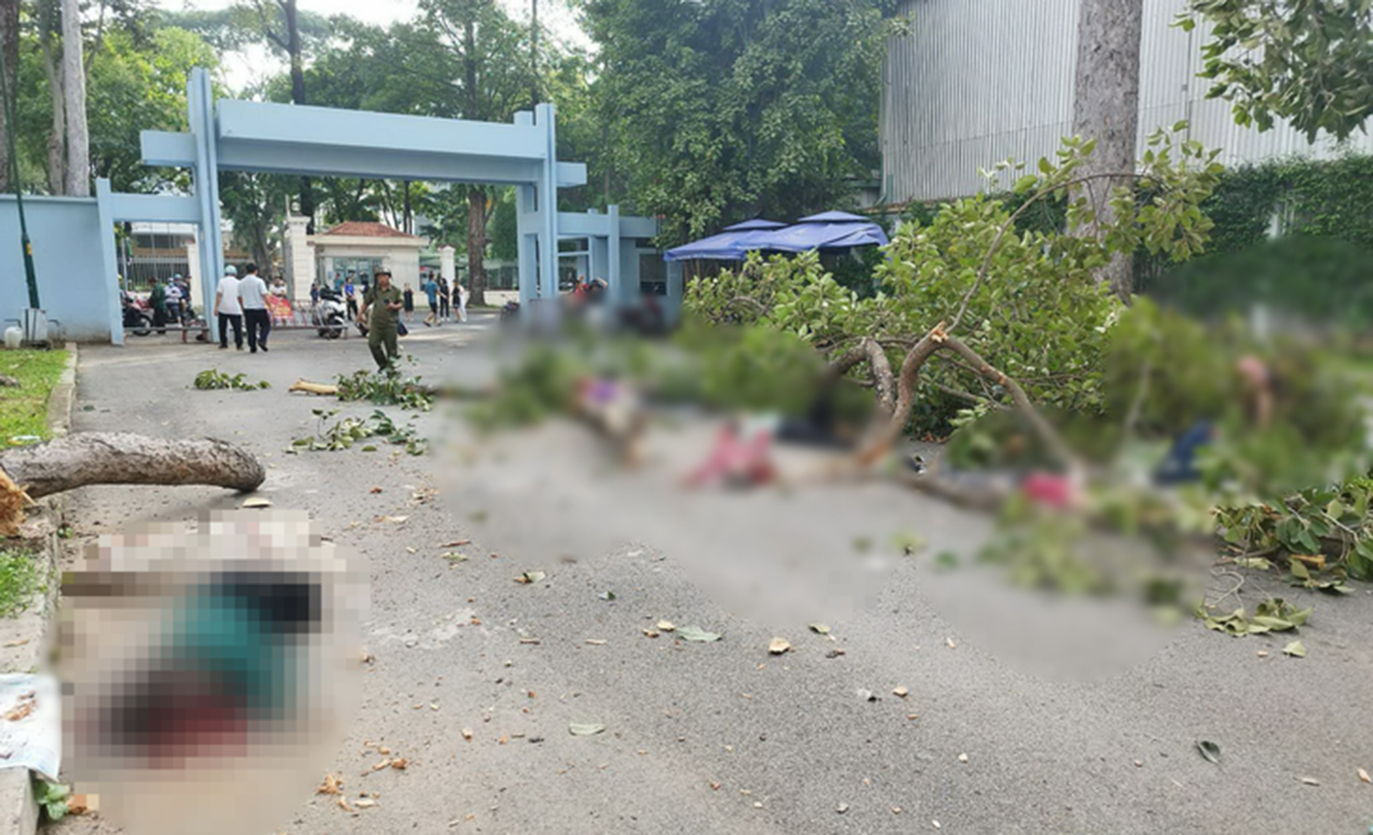 Để kh&ocirc;ng c&ograve;n những c&aacute;i chết &ldquo;từ tr&ecirc;n trời rơi xuống&rdquo;- Ảnh 1.