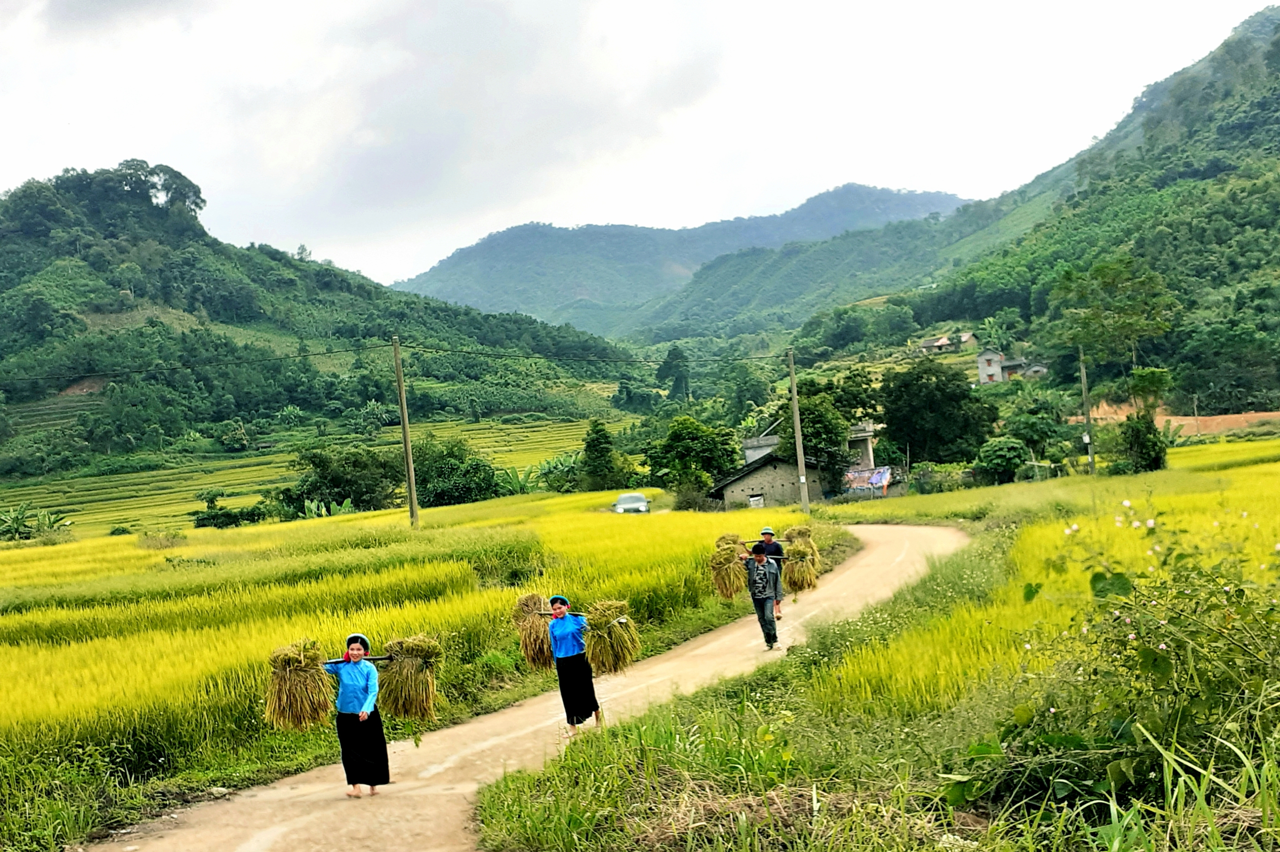 Quảng Ninh l&agrave;m đường nối quốc lộ 18 l&ecirc;n đại ng&agrave;n h&ugrave;ng vĩ- Ảnh 2.
