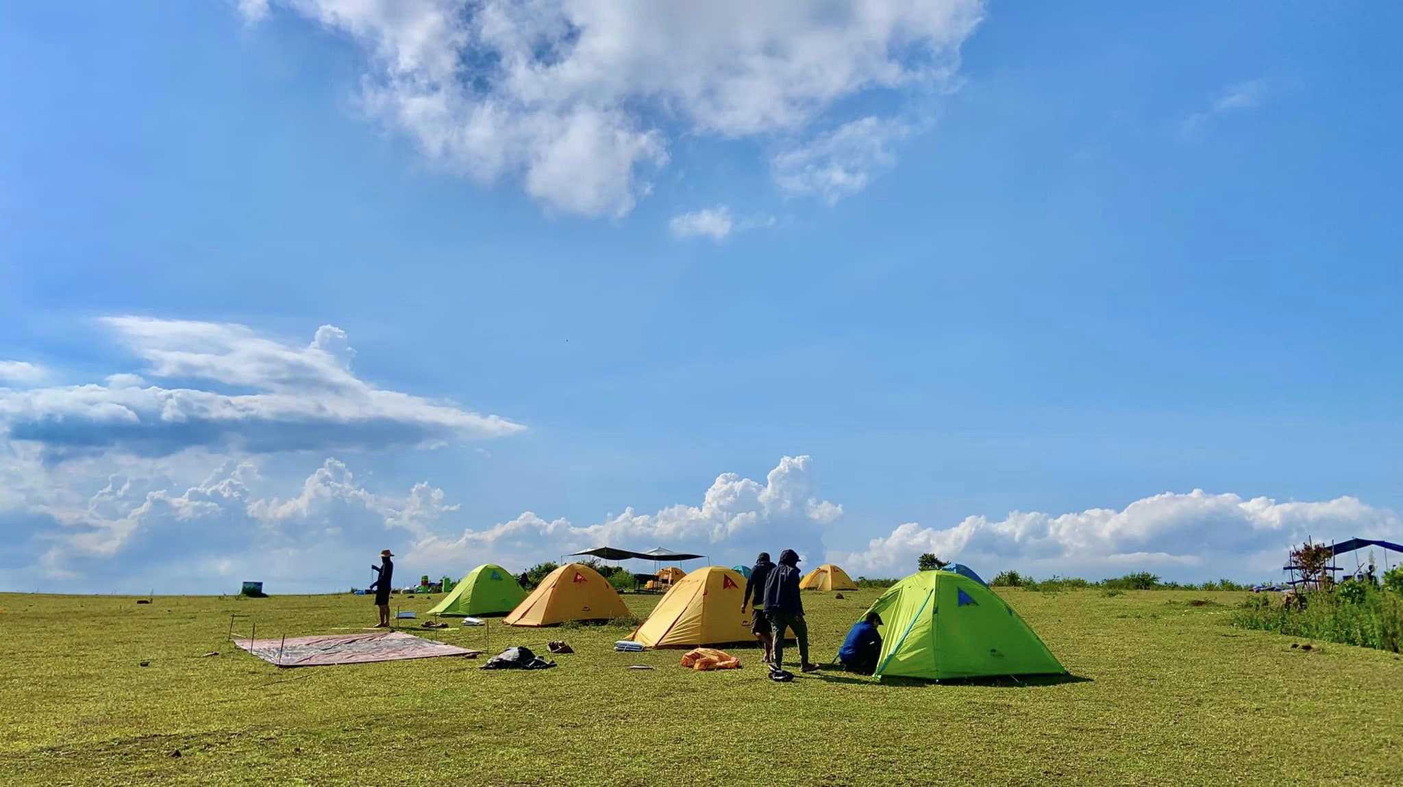 Đến B&ugrave;i Hui ngắm thảo nguy&ecirc;n mơ mộng giữa đại ng&agrave;n- Ảnh 3.