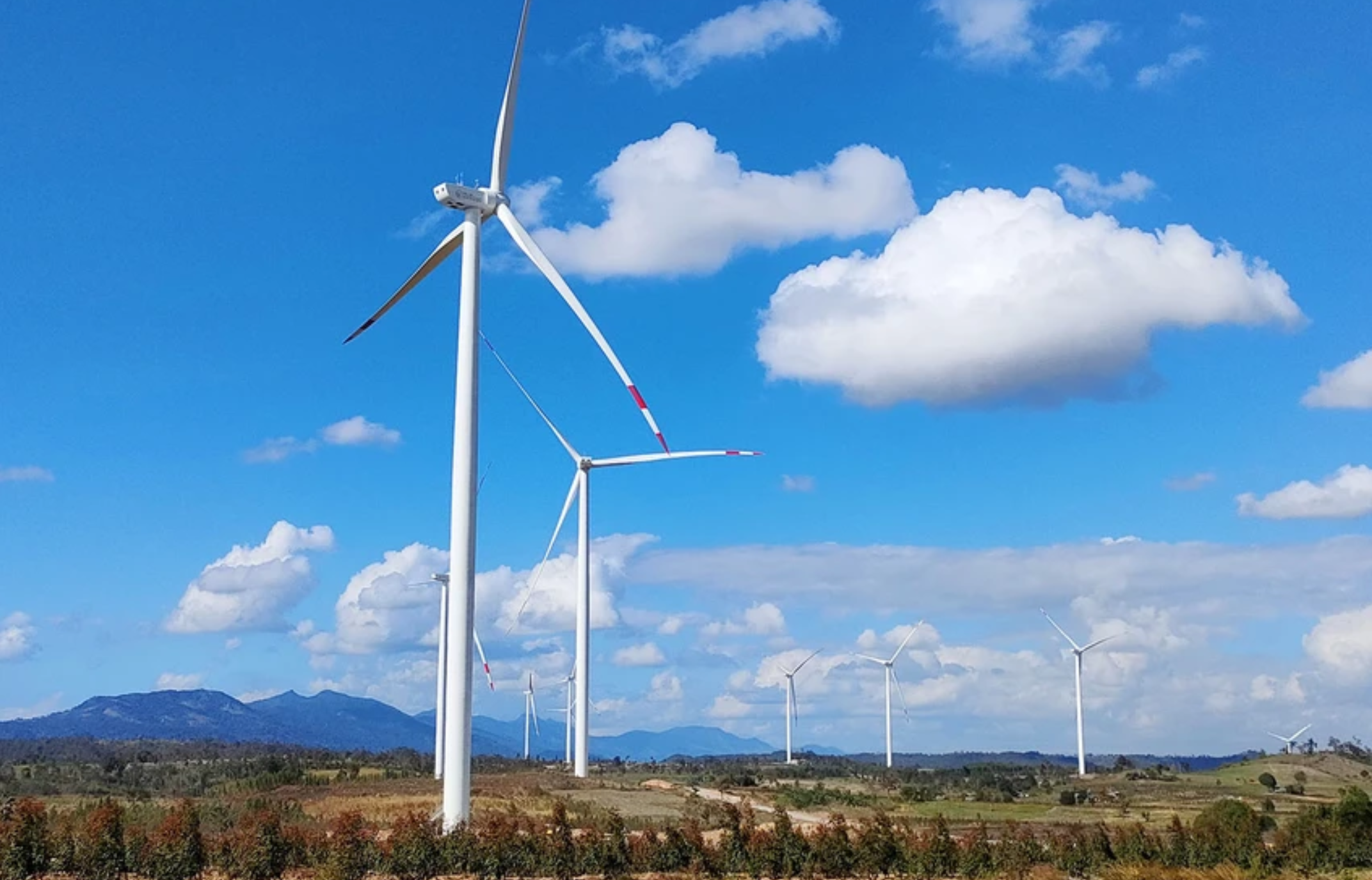 Nhiều dự &aacute;n điện gi&oacute; tại Gia Lai bị chuyển điều tra- Ảnh 1.