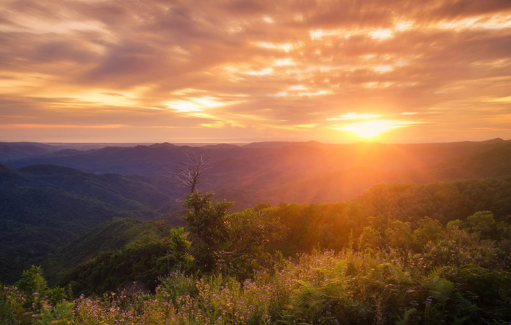 Đến B&ugrave;i Hui ngắm thảo nguy&ecirc;n mơ mộng giữa đại ng&agrave;n- Ảnh 7.