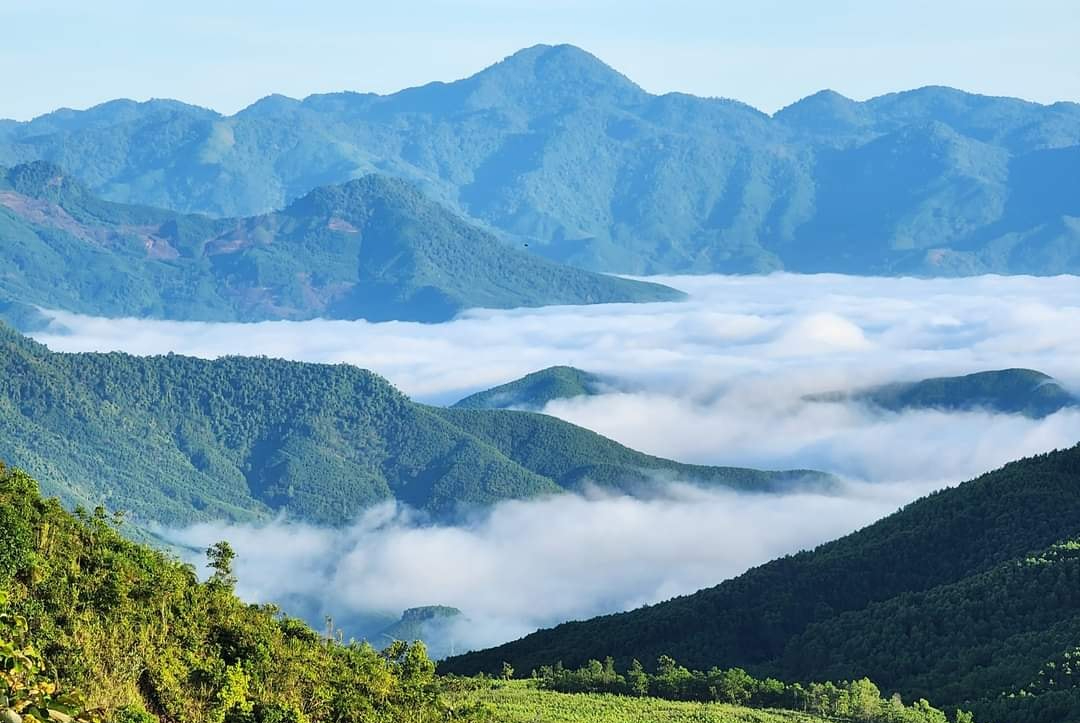 Đến B&ugrave;i Hui ngắm thảo nguy&ecirc;n mơ mộng giữa đại ng&agrave;n- Ảnh 12.