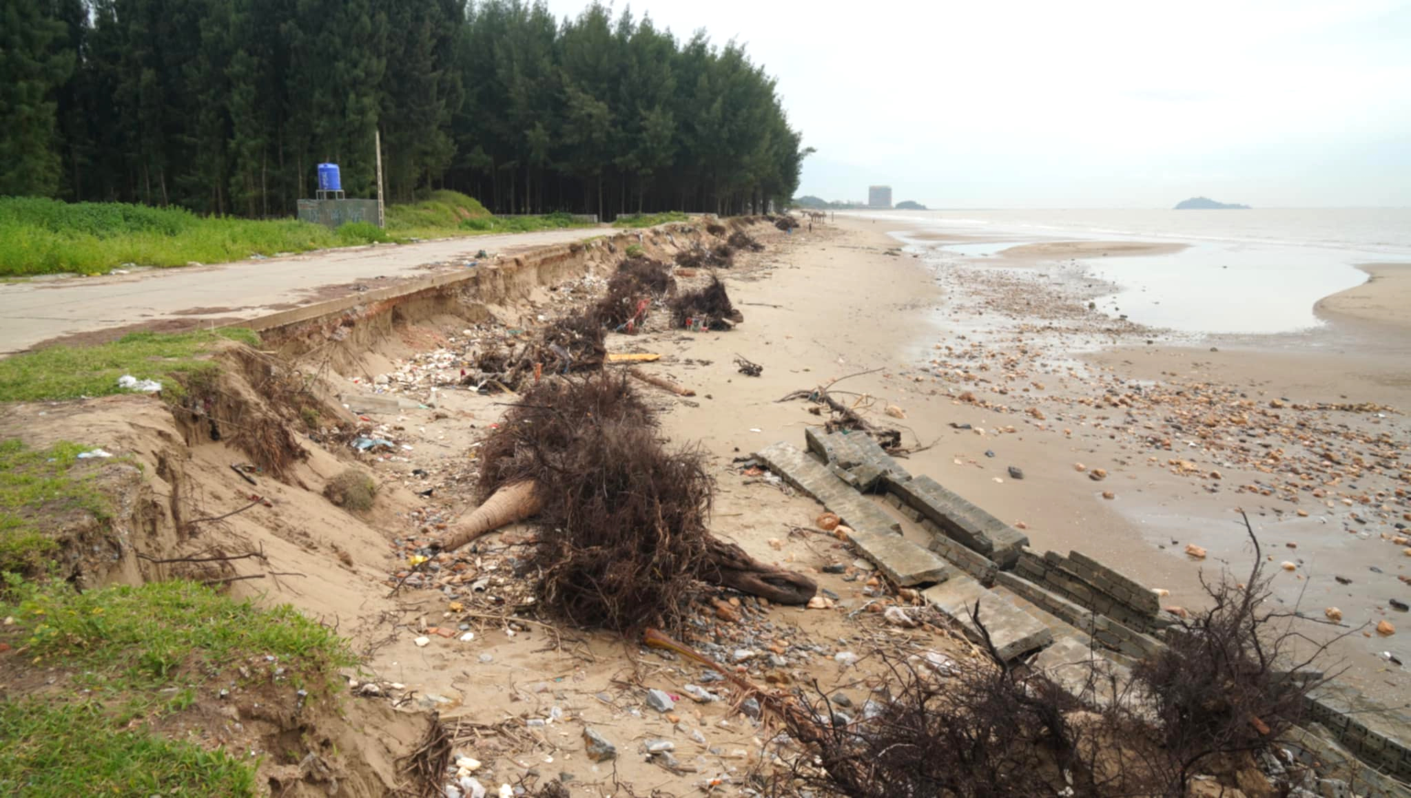 Bờ biển bị x&acirc;m thực mạnh, đe dọa "nuốt đường" ở Thanh H&oacute;a- Ảnh 3.