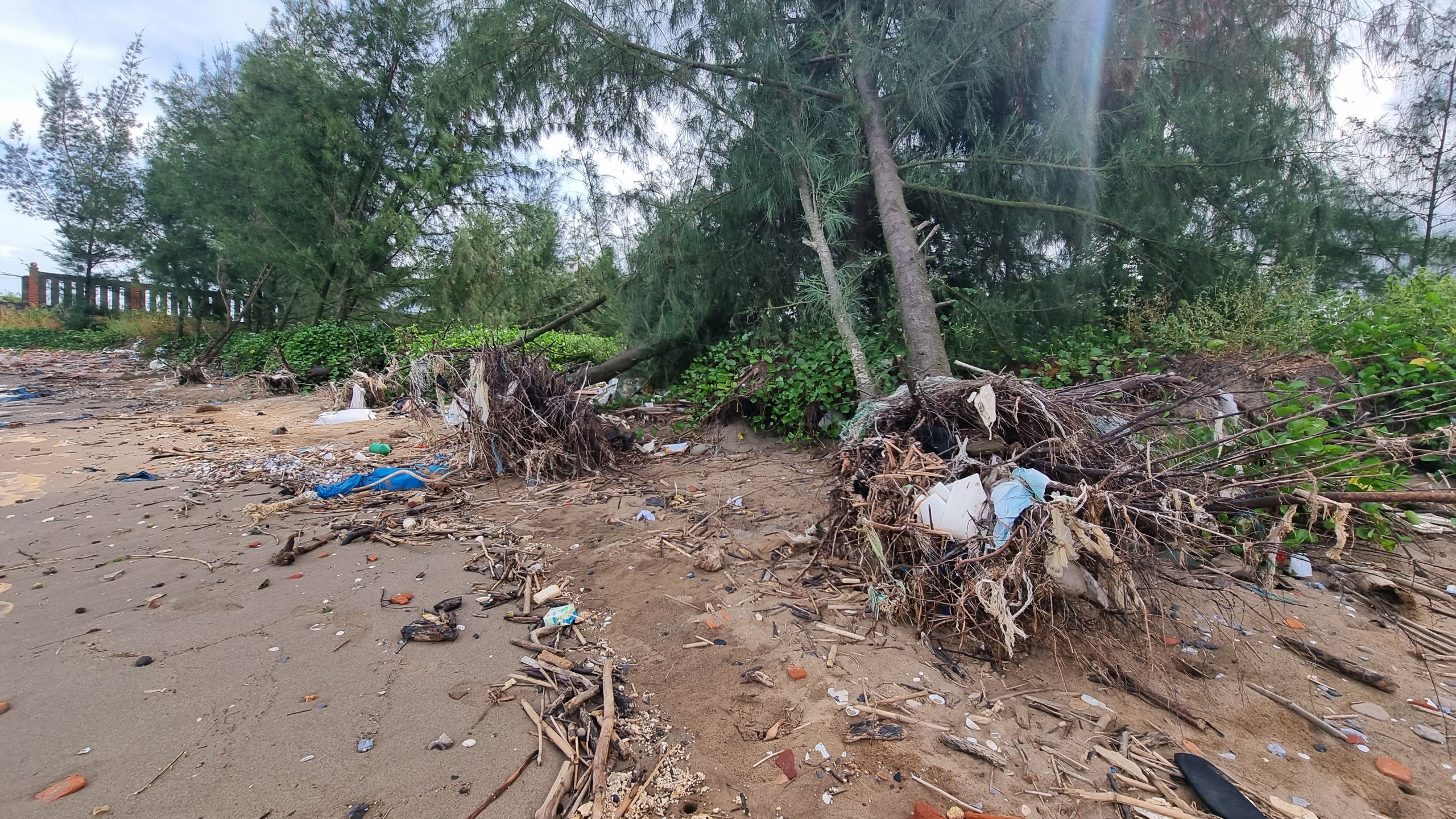 H&igrave;nh ảnh biển đe dọa "nuốt" đường v&agrave; nh&agrave; ở Thanh H&oacute;a- Ảnh 13.