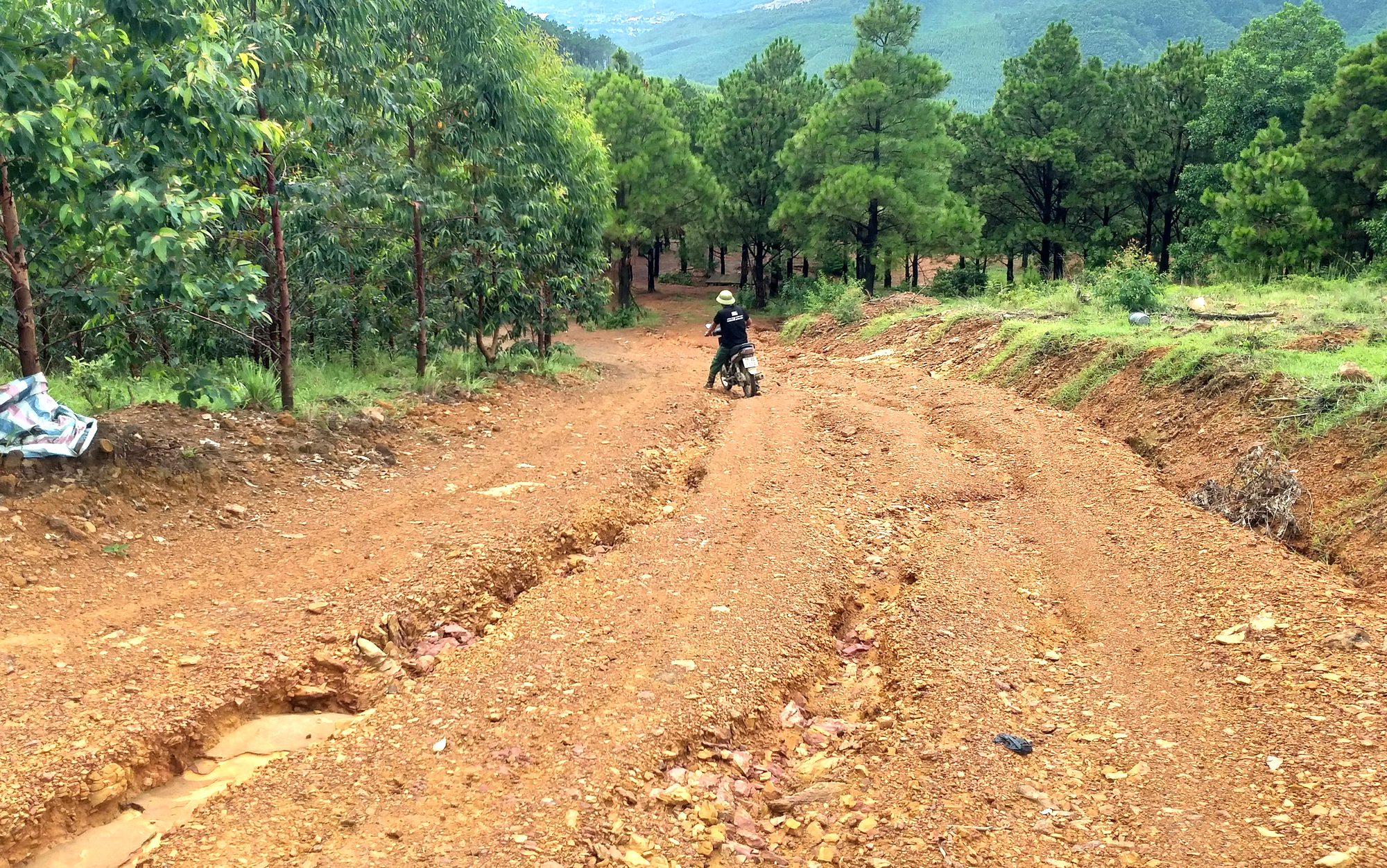 Quảng Ninh: Hiểm nguy r&igrave;nh rập tr&ecirc;n đường l&ecirc;n n&uacute;i Phượng Ho&agrave;ng- Ảnh 1.
