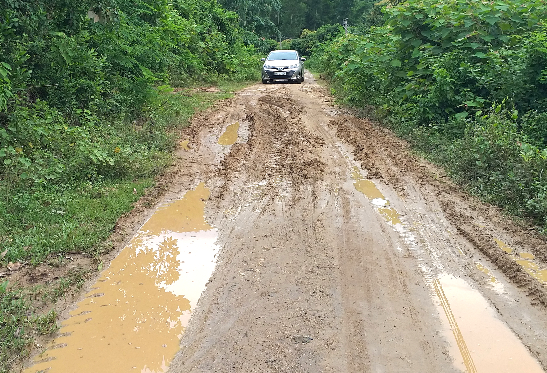 Quảng Ninh: Hiểm nguy r&igrave;nh rập tr&ecirc;n đường l&ecirc;n n&uacute;i Phượng Ho&agrave;ng- Ảnh 2.