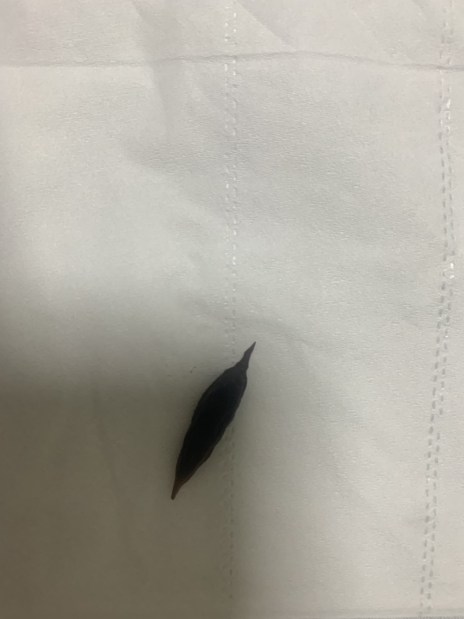 Lỡ nuốt hạt t&aacute;o đỏ khi ăn yến, cụ b&agrave; bị thủng ruột non- Ảnh 2.