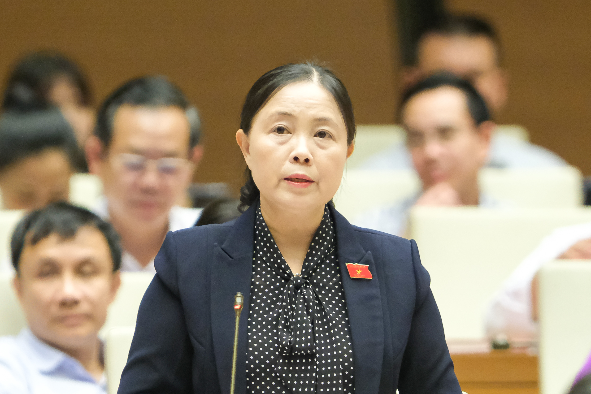 B&agrave; Đo&agrave;n Thị Hảo được giao phụ tr&aacute;ch Đo&agrave;n đại biểu Quốc hội Th&aacute;i Nguy&ecirc;n- Ảnh 1.