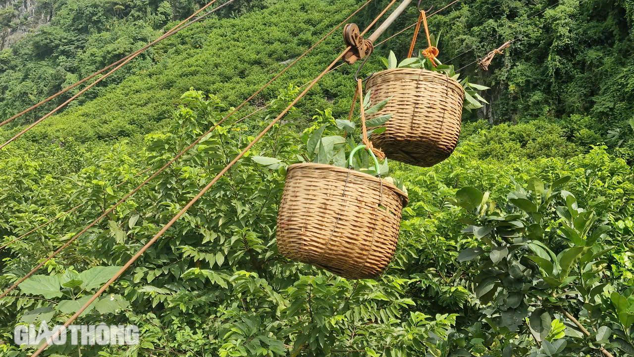 Tận thấy na "ngồi" th&uacute;ng, "đi" r&ograve;ng rọc từ n&uacute;i đ&aacute; xuống chợ ở Lạng Sơn- Ảnh 2.