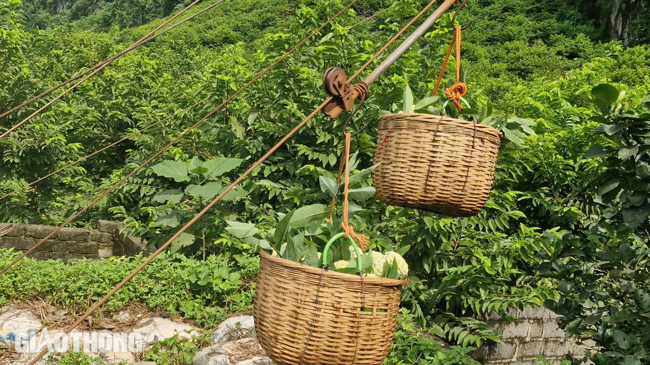 Tận thấy na "ngồi" th&uacute;ng, "đi" r&ograve;ng rọc từ n&uacute;i đ&aacute; xuống chợ ở Lạng Sơn- Ảnh 3.