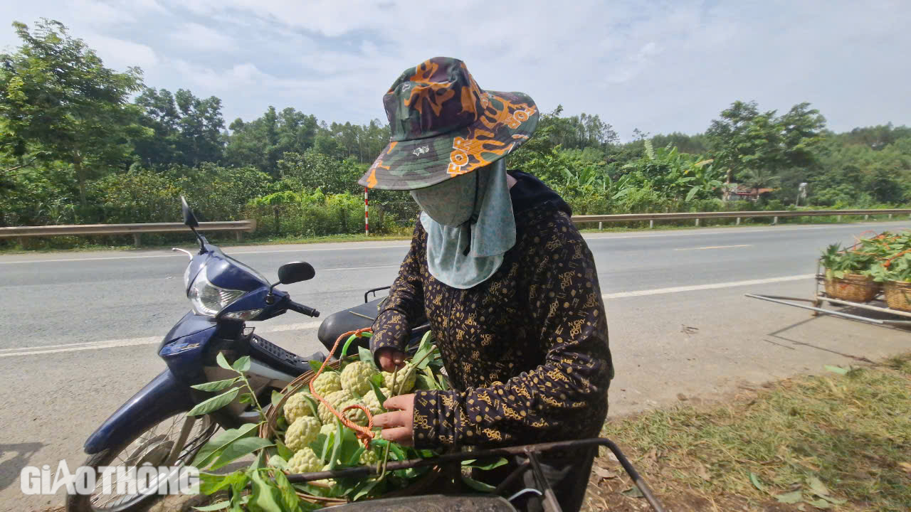 Tận thấy na "ngồi" th&uacute;ng, "đi" r&ograve;ng rọc từ n&uacute;i đ&aacute; xuống chợ ở Lạng Sơn- Ảnh 6.