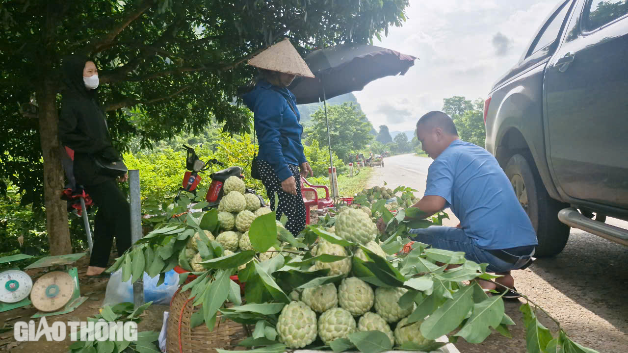 Tận thấy na "ngồi" th&uacute;ng, "đi" r&ograve;ng rọc từ n&uacute;i đ&aacute; xuống chợ ở Lạng Sơn- Ảnh 10.